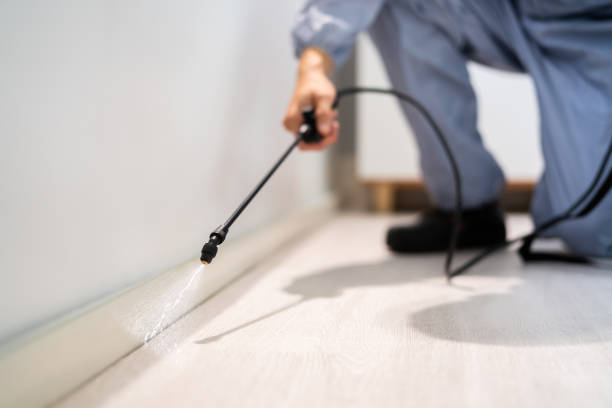 Licensed Pest Control service in Toledo, IA - Show Me Pest Control