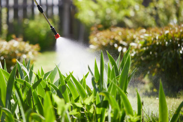Tamper-Resistant Bait Stations for Rodents in Toledo
