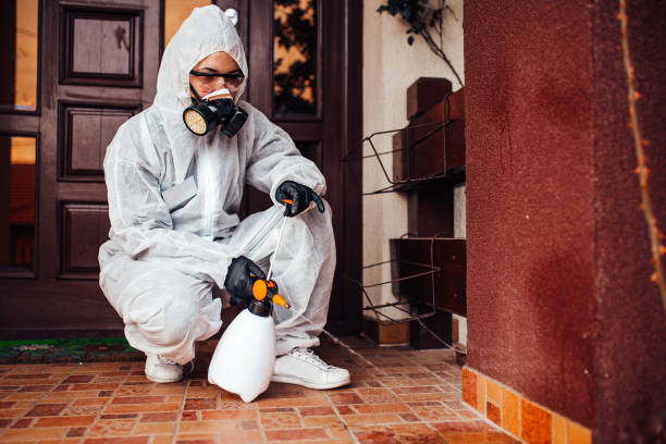 Attic and Crawl Space Rodent Treatment in Toledo